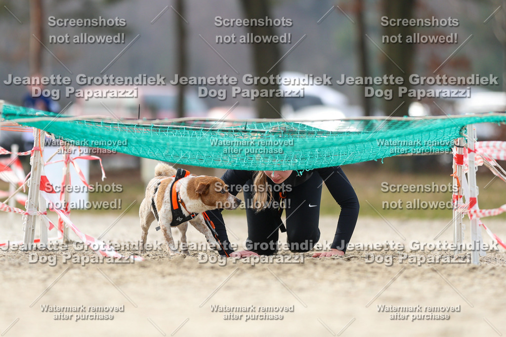 Dog Paparazzi - Strongdog North Mrz26-5231 | Dog Paparazzi Jeanette Grottendiek Fotografie & Videografie - Realisiert mit Pictrs.com