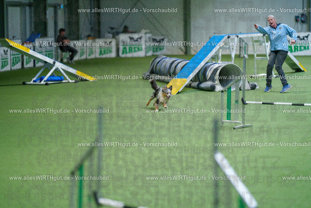 @allesWIRTHgut_Tierfotografie - www.allesWIRTHgut.de - 2604250842-7R507477 | Professionelle Tierfotografie in Mönchengladbach von Daniel Wirth (allesWIRTHgut). Liebevolle & natürliche Bilder von Hunden & Katzen für unvergessliche Erinnerungen.