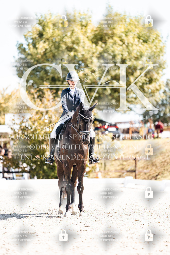 CK903388 | Turnierfotografie Pferdefotografie Trier Rheinland-Pfalz Pferdesport Reitsport Tierfotografie Sportfotografie Pferdevideo Pferdevideografie Equestrianvideography equestrianphotography  - Realisiert mit Pictrs.com