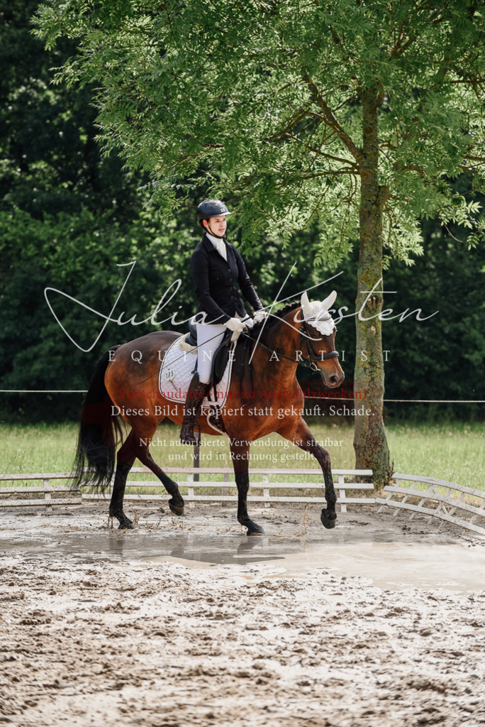 DSC_9820 | Pferde- und Turnierfotografie in Westsachsen. Pferdeportraits, Auftragszeichnungen und intuitive Kunst.