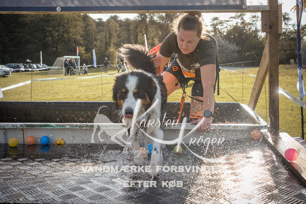 0955_ZZ99020 | kk-dogfotos