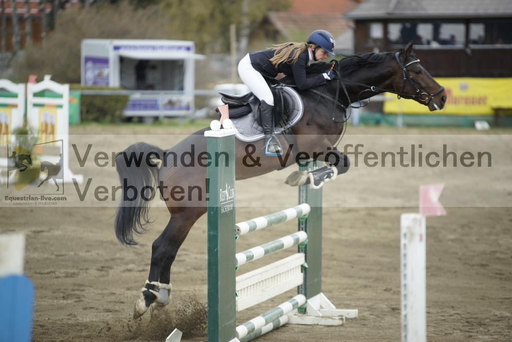 _DSC7384 | equestrian-live-com