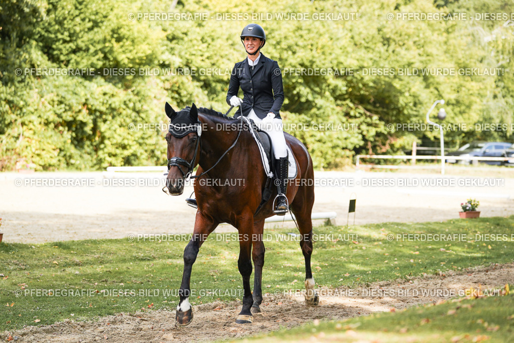 DSC02497 | Pferdegrafie