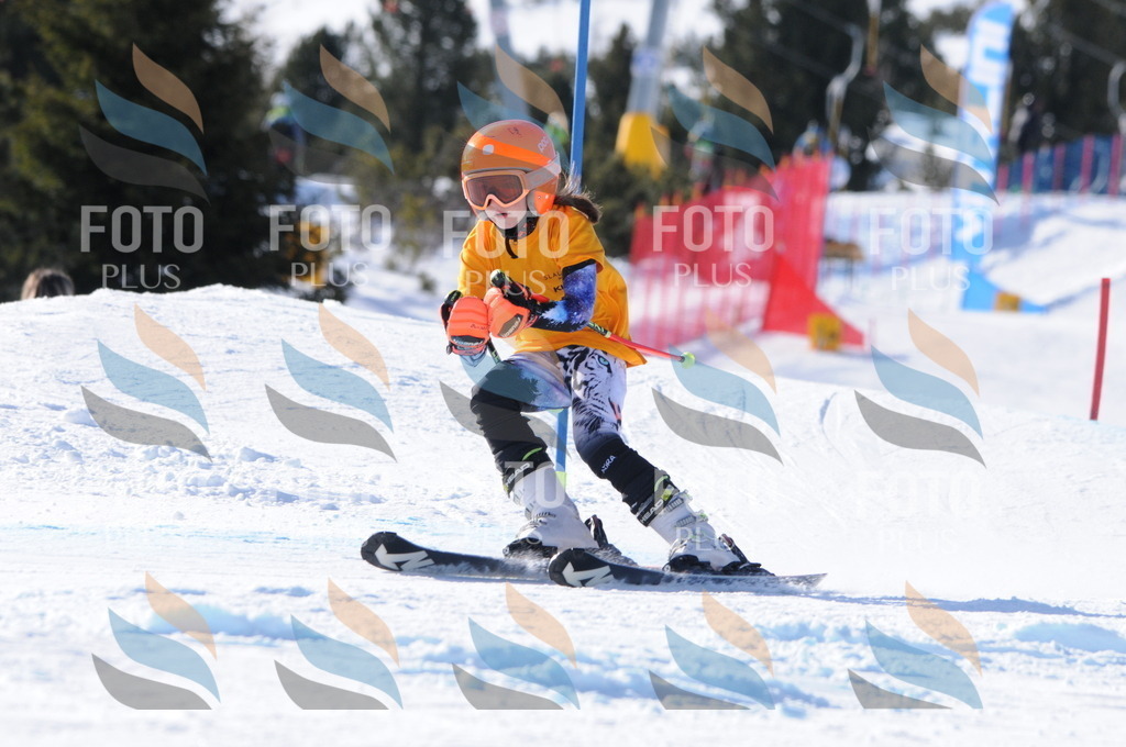 C7046 | holidayphoto