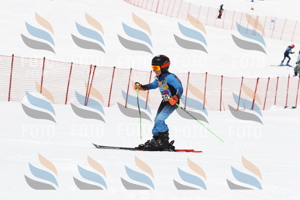 _U3G7716 | holidayphoto