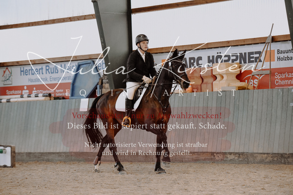 DSC_7439 | Pferde- und Turnierfotografie in Westsachsen. Pferdeportraits, Auftragszeichnungen und intuitive Kunst.