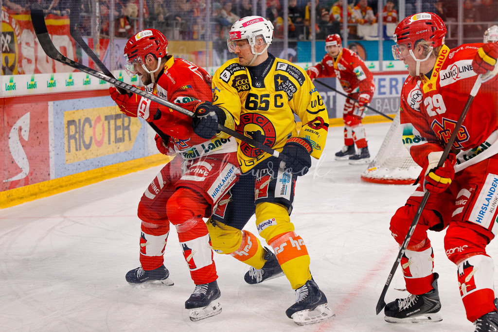 EHCB vs SCB 20260110_wb-3721 | Sportbilder, Sportfotograf, Hochzeits- und Eventfotografin, Flugshows, Portraits und Tiershooting, Aviation, Downhill, Nationalleague, Swissleague, International