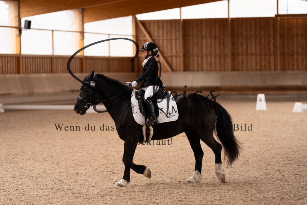 A7507011 | Turnier/Reitfotograf