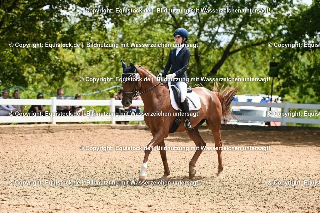 20230716_03_Dressurprfg. Kl.L - Tr._0300 | equistock