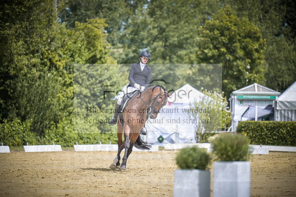 DOS_2791 | Entdecke hochwertige Reitturnierfotos von Foto Oger. Professionell, emotional und authentisch – jetzt Lieblingsmomente im Shop bestellen.Deutschlandweite Turnierfotografie. - Realisiert mit Pictrs.com