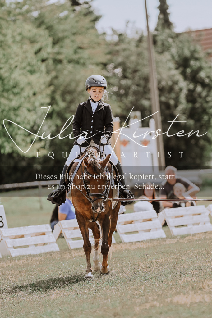 DSC_7622 | Pferde- und Turnierfotografie in Westsachsen. Pferdeportraits, Auftragszeichnungen und intuitive Kunst.