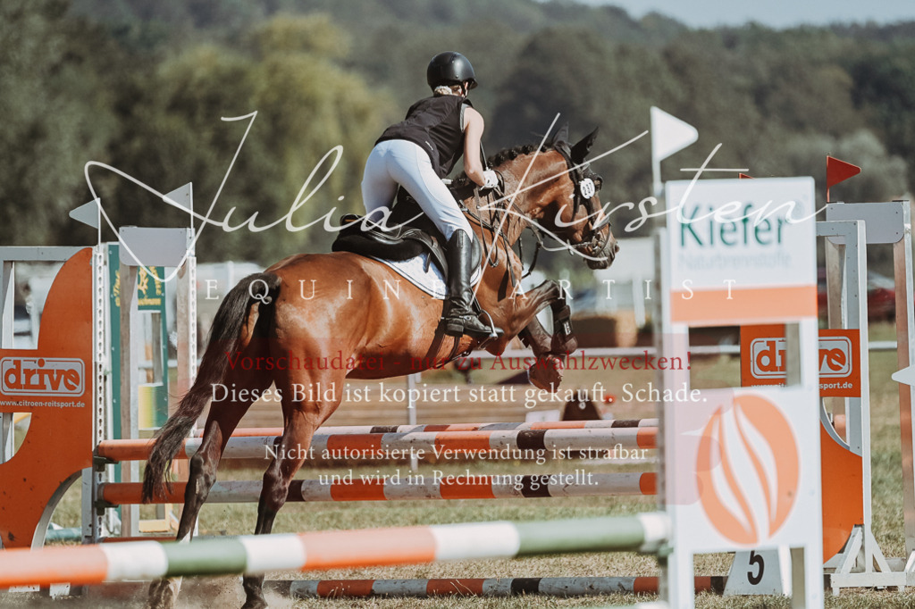 DSC_9558 | Pferde- und Turnierfotografie in Westsachsen. Pferdeportraits, Auftragszeichnungen und intuitive Kunst.