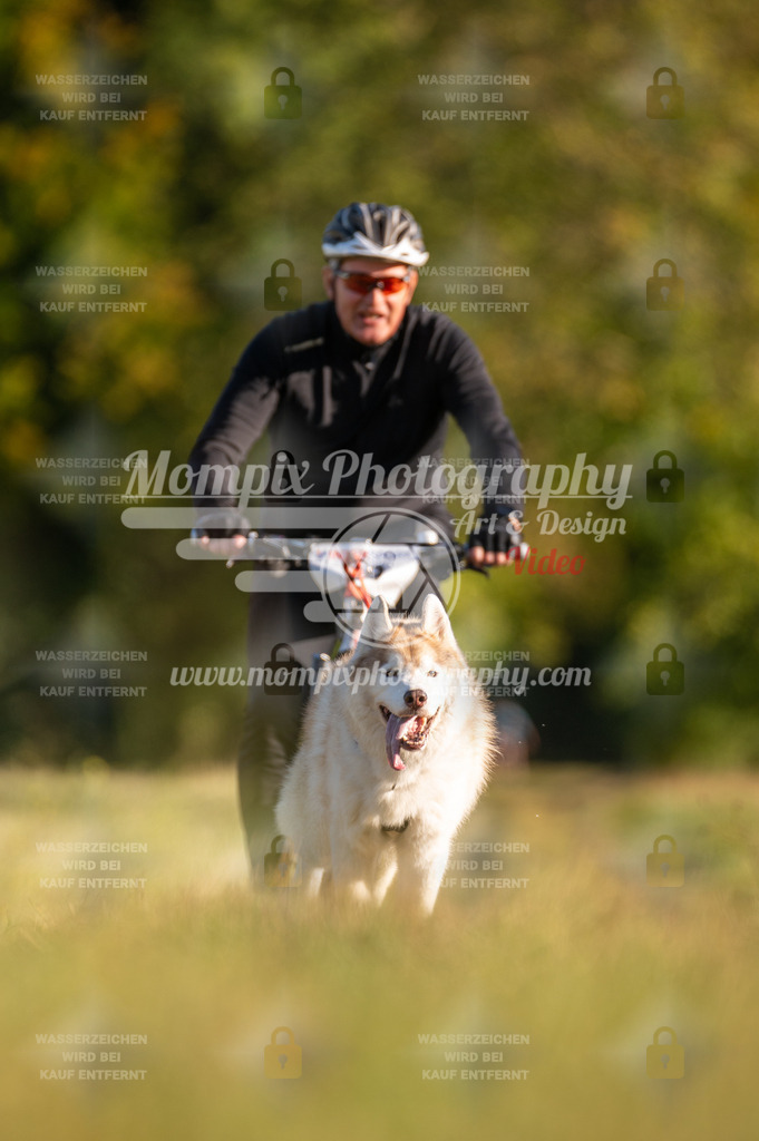 CDLBDB_15_10_2023_Dimanche-187 | PayLife