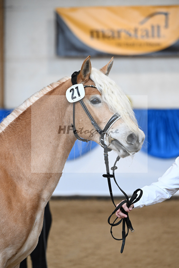 Kat-Nr. 21 nn v. Barion_Stecher_48250999 | hf-fotografie - Realisiert mit Pictrs.com