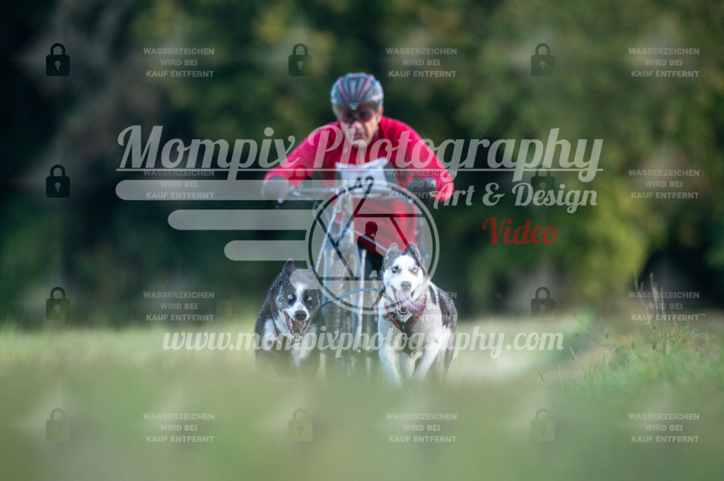 CDLBDB_15_10_2023_Dimanche-95 | PayLife