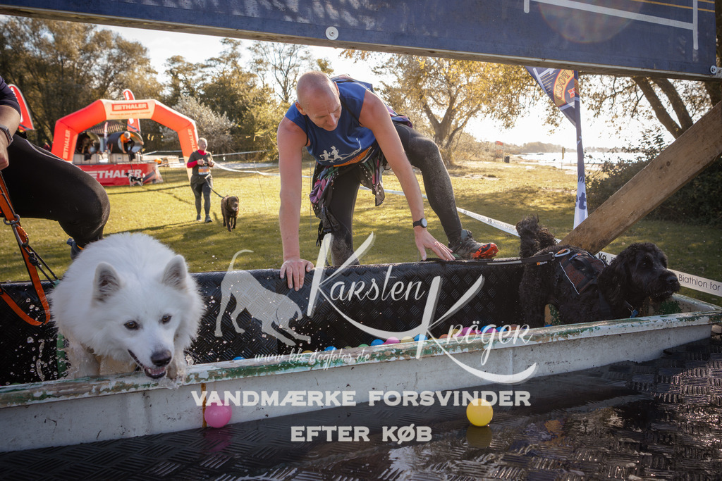 1221_ZZ95709 | kk-dogfotos