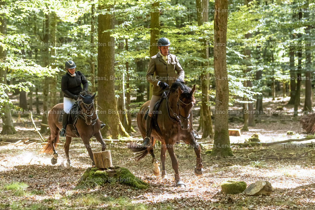 _90A5512 | foto-team-bernhard - Realisiert mit Pictrs.com