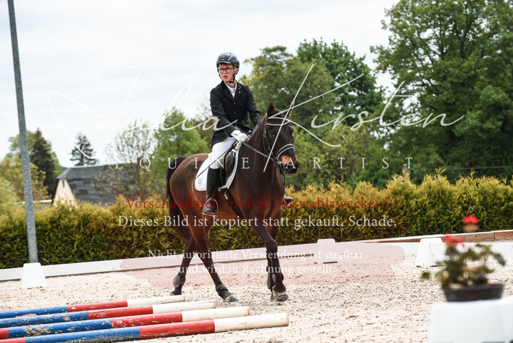 20230518_JK-Röhrsdorf-10-595 | Pferde- und Turnierfotografie in Westsachsen. Pferdeportraits, Auftragszeichnungen und intuitive Kunst.