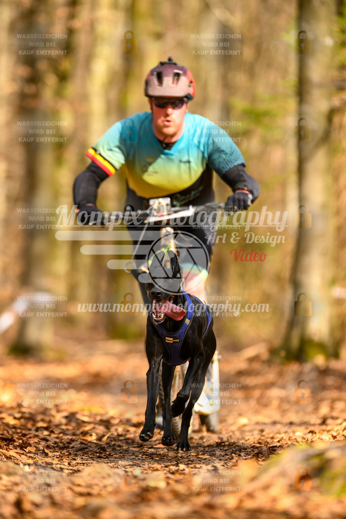 MompixPhotography_Habay2025_SA_SCO-15 | PayLife