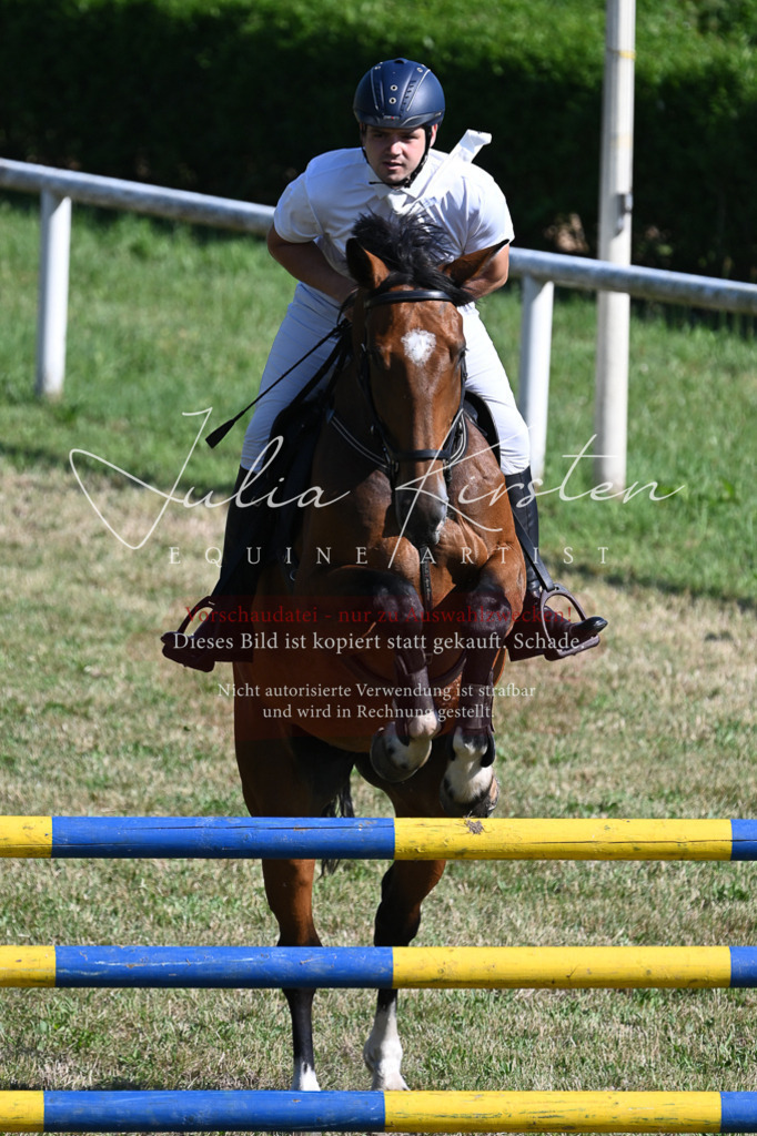 DSC_2164 | Pferde- und Turnierfotografie in Westsachsen. Pferdeportraits, Auftragszeichnungen und intuitive Kunst.