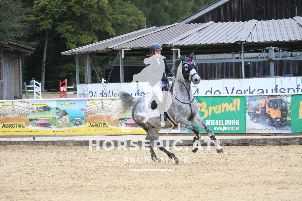 DL2Q2282 | Willkommen bei Brunnmayr - Design & Fotografie – Ihrem Spezialisten für Reitturniere und Pferdeveranstaltungen in Oberösterreich, Salzburg und Bayern! Seit über 17 Jahren sind wir leidenschaftlich dabei.