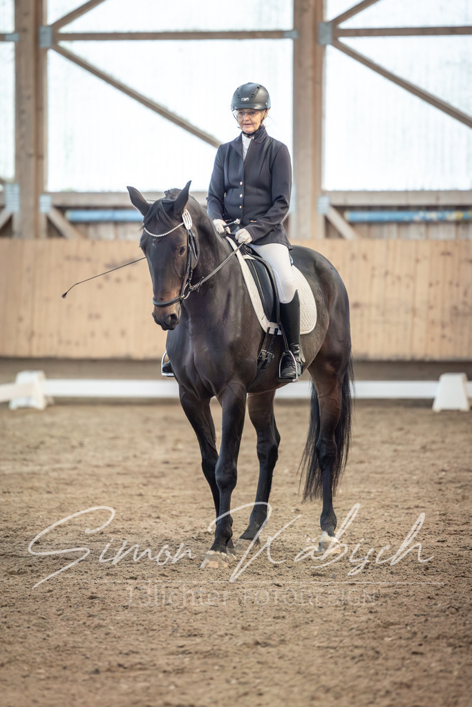 20251011-_3LI6364 | Tierfotografie Pferde, Hunde, Katzen, Haustiere.
Turnierfotografie Reitturniere, Reiten, Springreiten, Dressur in Hanau, dem Main-Kinzig-Kreis und dem Rhein-Main- Gebiet um Frankfurt