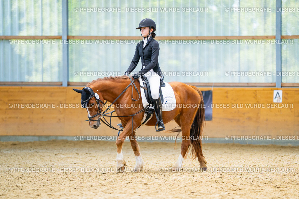 DSC08860 | Pferdegrafie