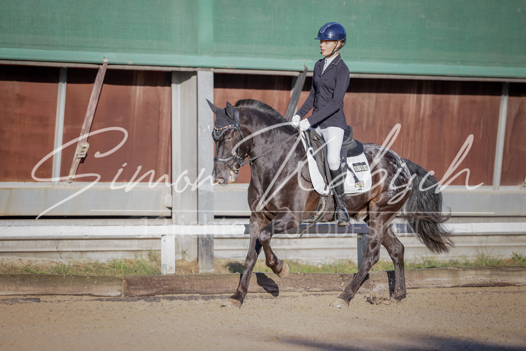 20250906-_3LI2808 | Tierfotografie Pferde, Hunde, Katzen, Haustiere.
Turnierfotografie Reitturniere, Reiten, Springreiten, Dressur in Hanau, dem Main-Kinzig-Kreis und dem Rhein-Main- Gebiet um Frankfurt