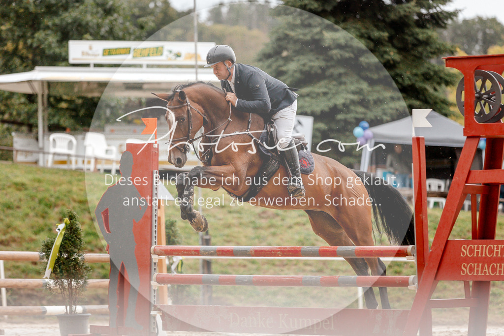 3I6A5755 | Stimmungsvolle Portraits und Reitsportfotografie im Ruhrgebiet und im Münsterland.

Pferdefotografie, Hundefotografie, Tierfotografie, Reportagen, Portraits von Tier und Mensch, Turnierfotografie in Bochum, Recklinghausen, Marl, Haltern am See, Dülmen.. - Realisiert mit Pictrs.com