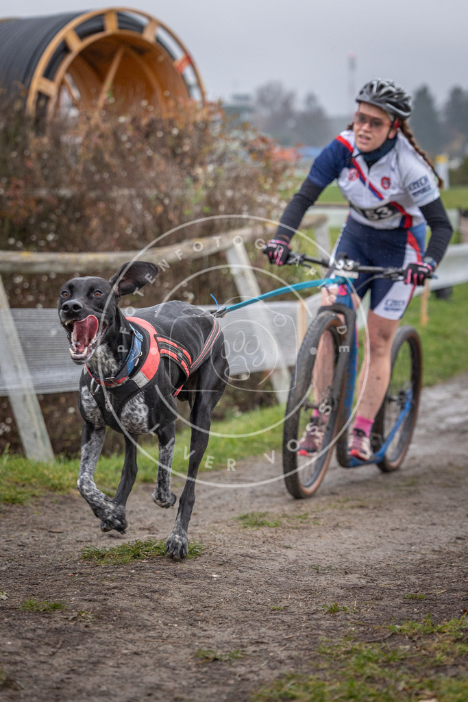 CaniXpix_0L8A0691 | Hundefotografie, Tierfotograf, Pfotenfotografie, Fotoshooting Hund, Hunde Portrait, Hundesport, Hundeportraits, Heideshooting, Hunde, Sportfotograf, Hundefotograf, Turnierhundsport, THS,  - Realisiert mit Pictrs.com