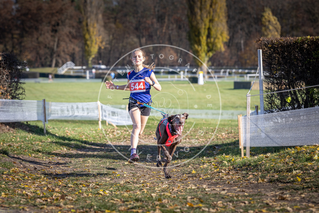 CaniXpix_DV3A8410 | Hundefotografie, Tierfotograf, Pfotenfotografie, Fotoshooting Hund, Hunde Portrait, Hundesport, Hundeportraits, Heideshooting, Hunde, Sportfotograf, Hundefotograf, Turnierhundsport, THS,  - Realisiert mit Pictrs.com