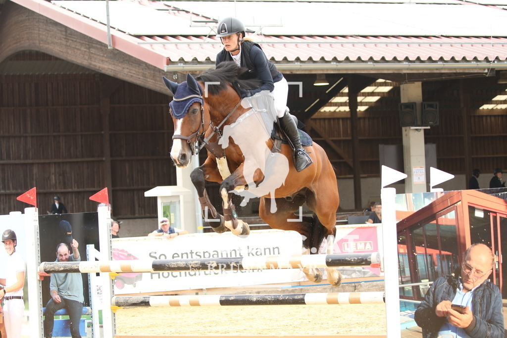 DL2Q7271 | Willkommen bei Brunnmayr - Design & Fotografie – Ihrem Spezialisten für Reitturniere und Pferdeveranstaltungen in Oberösterreich, Salzburg und Bayern! Seit über 17 Jahren sind wir leidenschaftlich dabei.