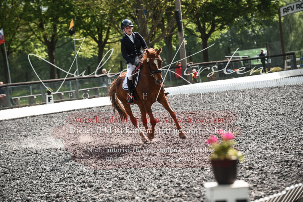 DSC_9051 | Pferde- und Turnierfotografie in Westsachsen. Pferdeportraits, Auftragszeichnungen und intuitive Kunst.