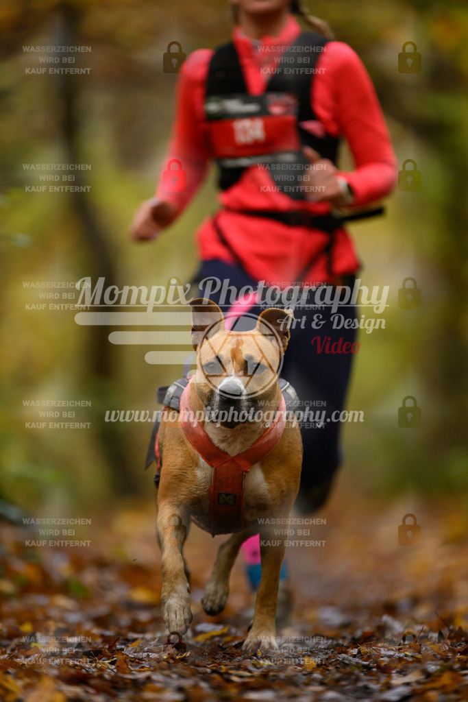 MompixPhotography_CD7S_DI_CCL-130 | mompixphotography