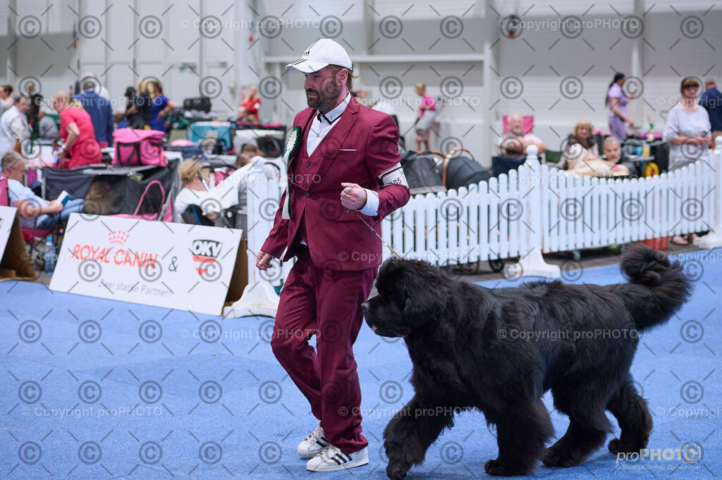 202406_ÖKV-IHA-Tulln24_DSC_3853 | proPHOTO - Realisiert mit Pictrs.com