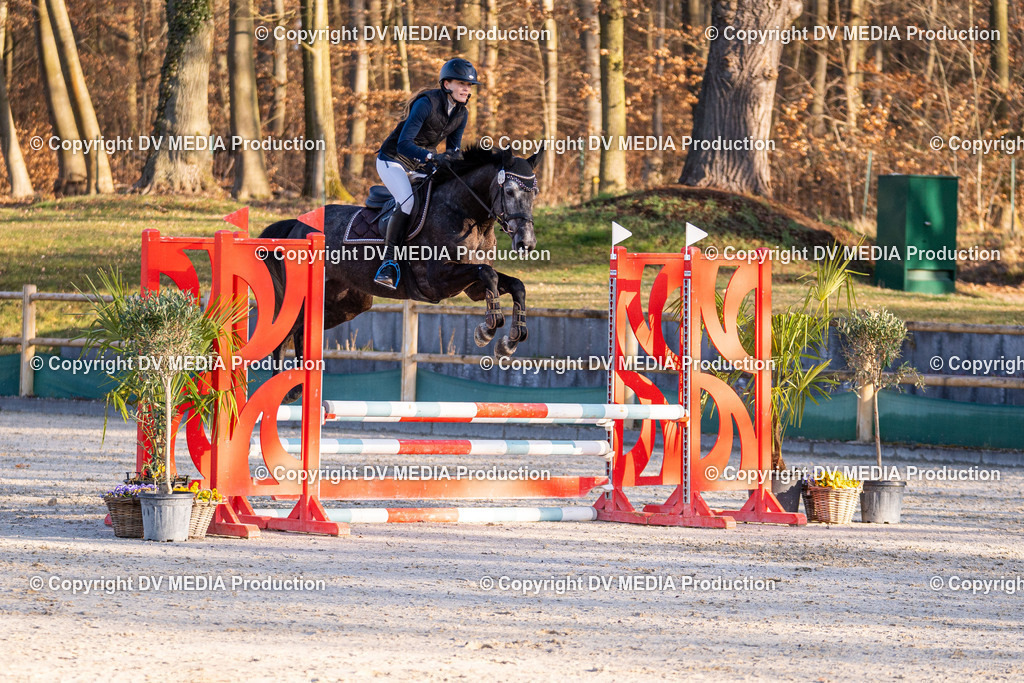 Kranichstein Tag 1-085 | dv-media-shop - Realisiert mit Pictrs.com