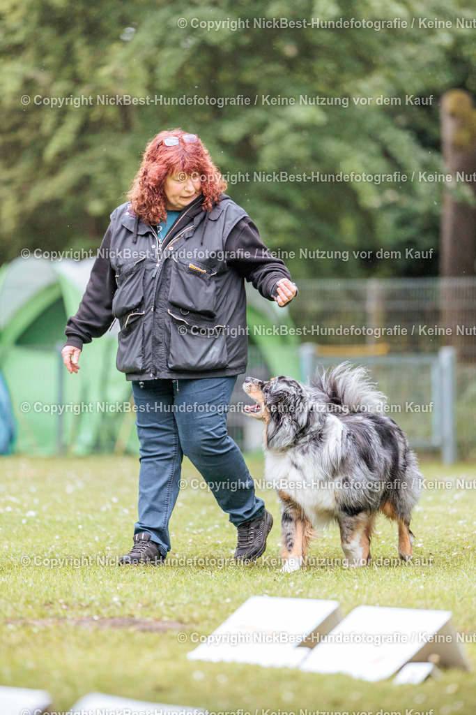 RO-Blumenthal-2026-Nickbest-Hundefotografie-3568 | Dein Hund! Dein Moment! Deine Erinnerungen! Hundefotografie in Bremen Blumenthal. Ich fange die besonderen Momente deines Vierbeiners ein – ob Indoor mit Blitzanlage oder in der freien Natur. Sicher dir dein Moment und dein Termin für eure Erinnerungen.