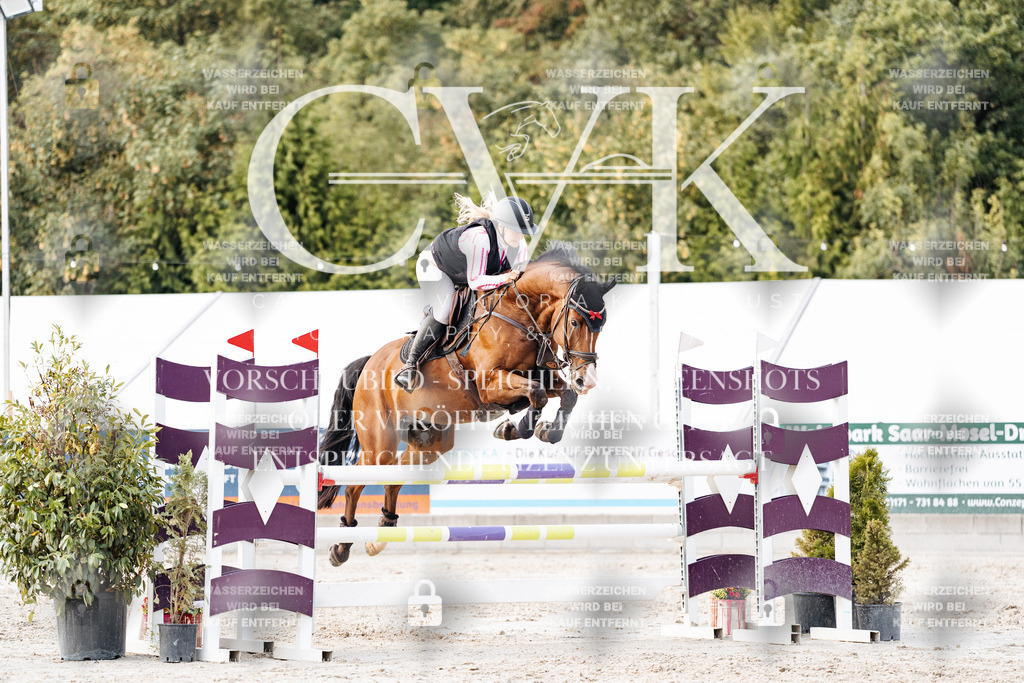 CK904074 | Turnierfotografie Pferdefotografie Trier Rheinland-Pfalz Pferdesport Reitsport Tierfotografie Sportfotografie Pferdevideo Pferdevideografie Equestrianvideography equestrianphotography  - Realisiert mit Pictrs.com