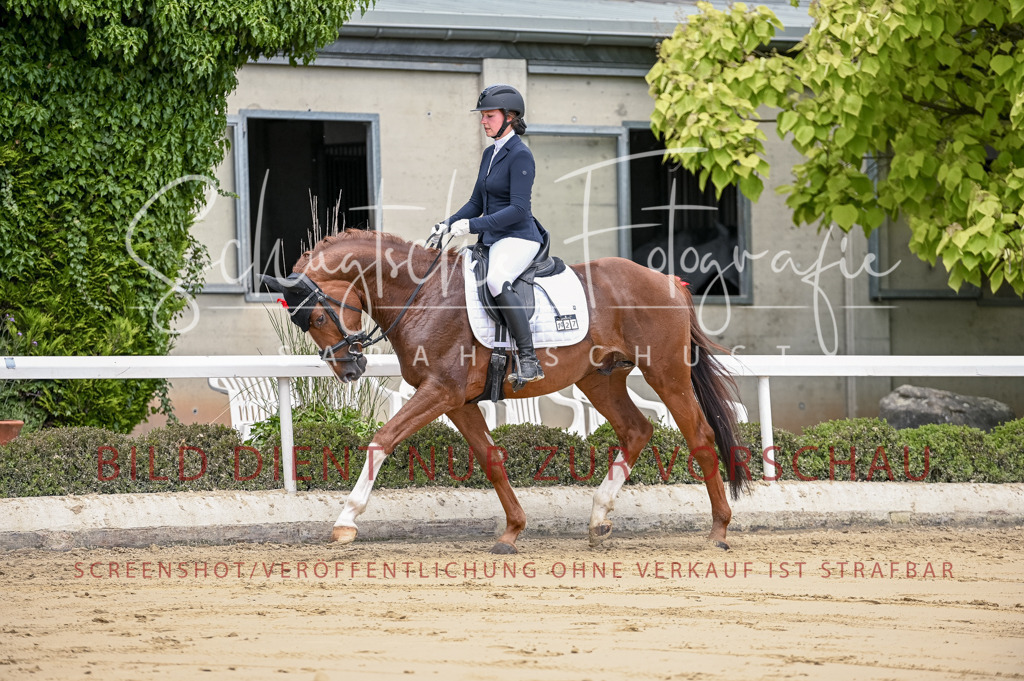 Schugtsche-Aluta25-48.Reitpferfdeprf.-145 | Schugtsche Fotografie - Realisiert mit Pictrs.com
