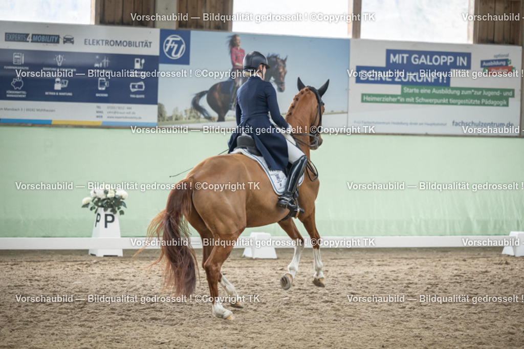 _D5A5295 | Emotionale Pferde- & People-Fotografie rund um Heidelberg, Leimen & Umgebung. Natürliche Fotos von Pferd, Mensch & Familie. Jetzt Termin sichern!