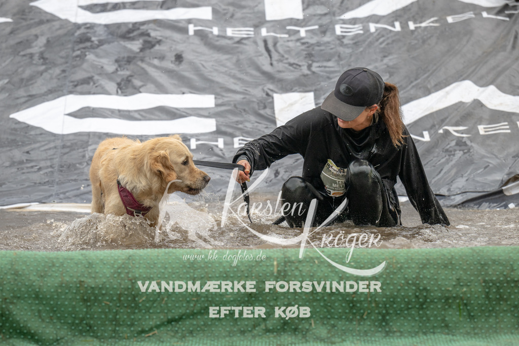 1550_ZZ91052 | kk-dogfotos