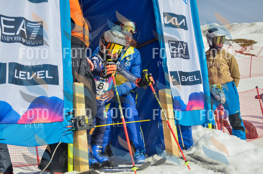 _ELE4296 | holidayphoto