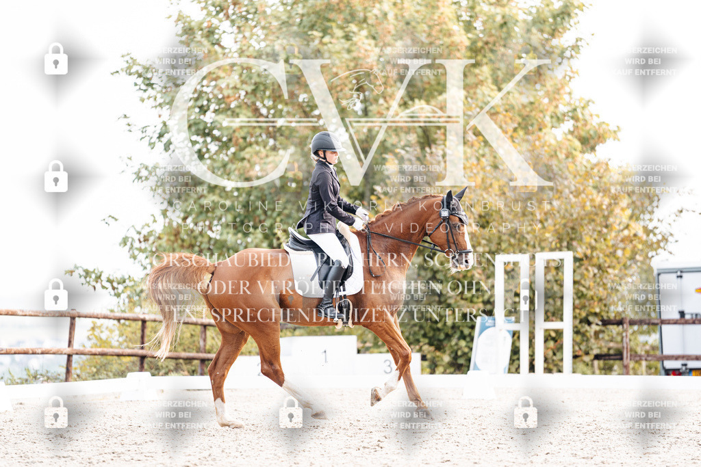 CK901331 | Turnierfotografie Pferdefotografie Trier Rheinland-Pfalz Pferdesport Reitsport Tierfotografie Sportfotografie Pferdevideo Pferdevideografie Equestrianvideography equestrianphotography  - Realisiert mit Pictrs.com