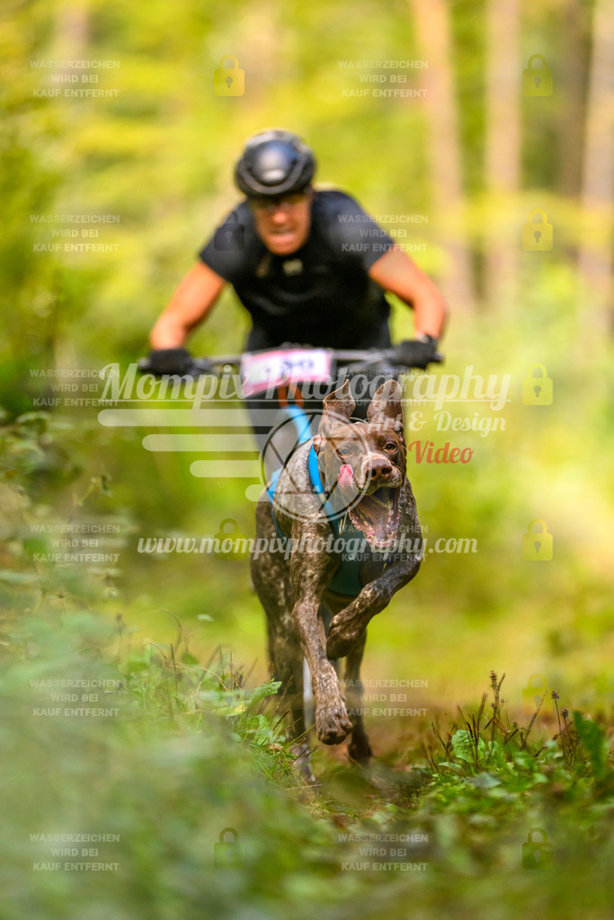 MompixPhotography_Yens2025_B2-30 | PayLife