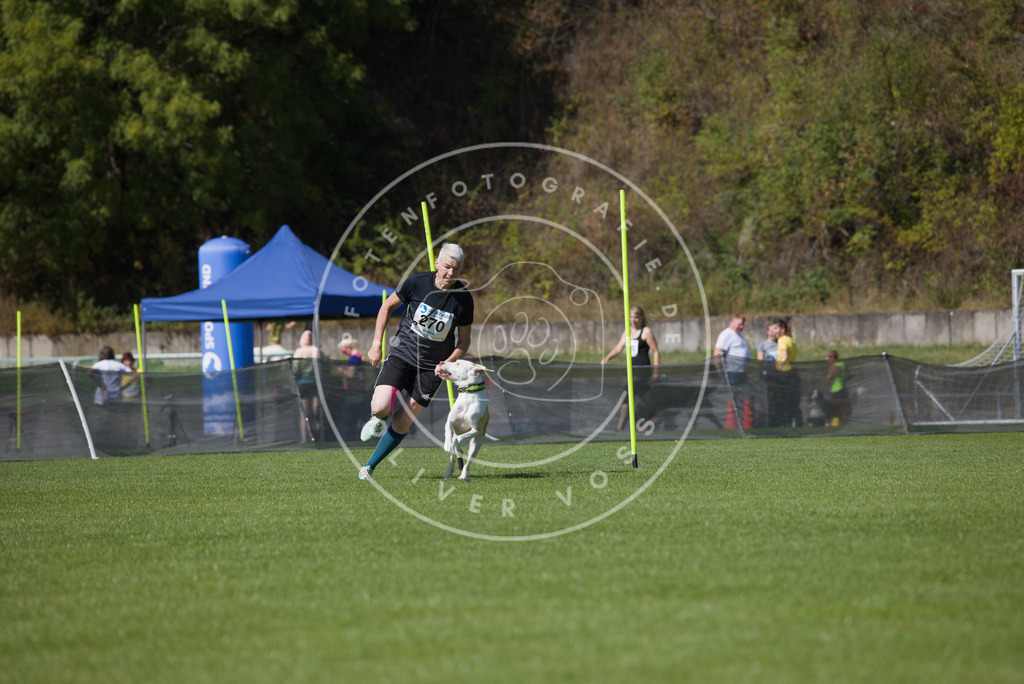 0L8A6654 | Hundefotografie, Tierfotograf, Pfotenfotografie, Fotoshooting Hund, Hunde Portrait, Hundesport, Hundeportraits, Heideshooting, Hunde, Sportfotograf, Hundefotograf, Turnierhundsport, THS,  - Realisiert mit Pictrs.com