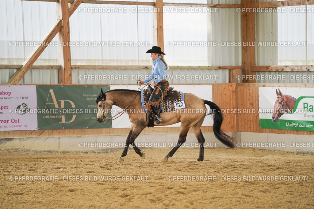 DSC03436 | Pferdegrafie