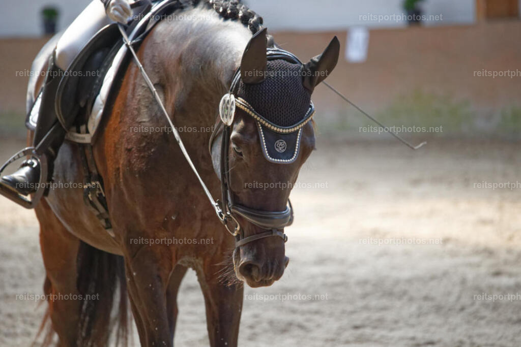 JHE_2489 | JoYa Fotografie - Realisiert mit Pictrs.com