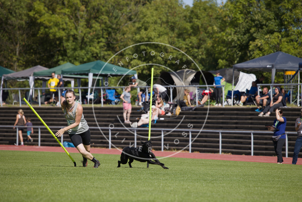 0L8A6739 | Hundefotografie, Tierfotograf, Pfotenfotografie, Fotoshooting Hund, Hunde Portrait, Hundesport, Hundeportraits, Heideshooting, Hunde, Sportfotograf, Hundefotograf, Turnierhundsport, THS,  - Realisiert mit Pictrs.com