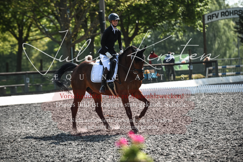 DSC_8929 | Pferde- und Turnierfotografie in Westsachsen. Pferdeportraits, Auftragszeichnungen und intuitive Kunst.