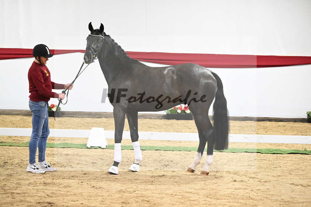 Kat-Nr. 2 v. Fuerst Samarant_Beckmann_63220335 | hf-fotografie - Realizzato con Pictrs.com